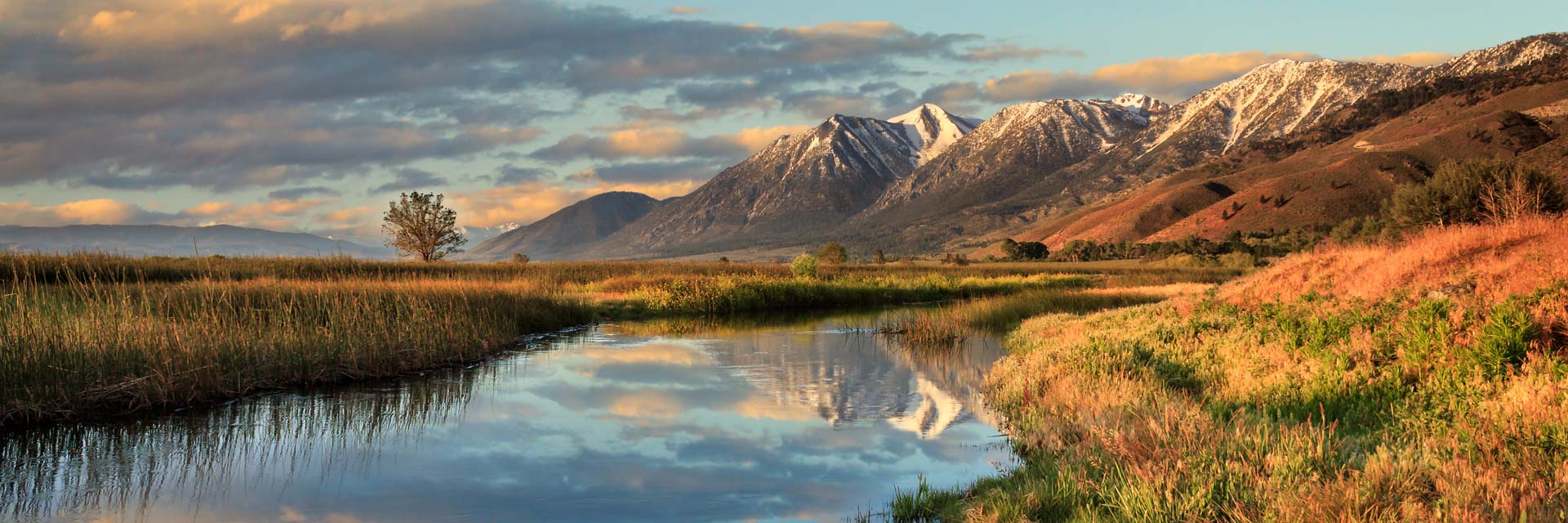 PREA Annual Report 2024 Douglas County District Court